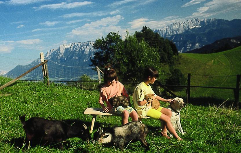 Berggasthof Bichlersee Oberaudorf Eksteriør billede